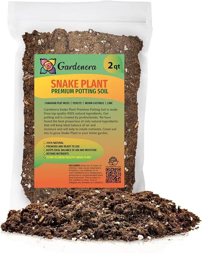 Premium Snake Plant Potting Soil Mix, Green Sansevieria Trifascatia Zeylanica Plants, Plant or Re-Pot Your Snake Plant - (2 Quart Bag) by GreenHaven Gardens