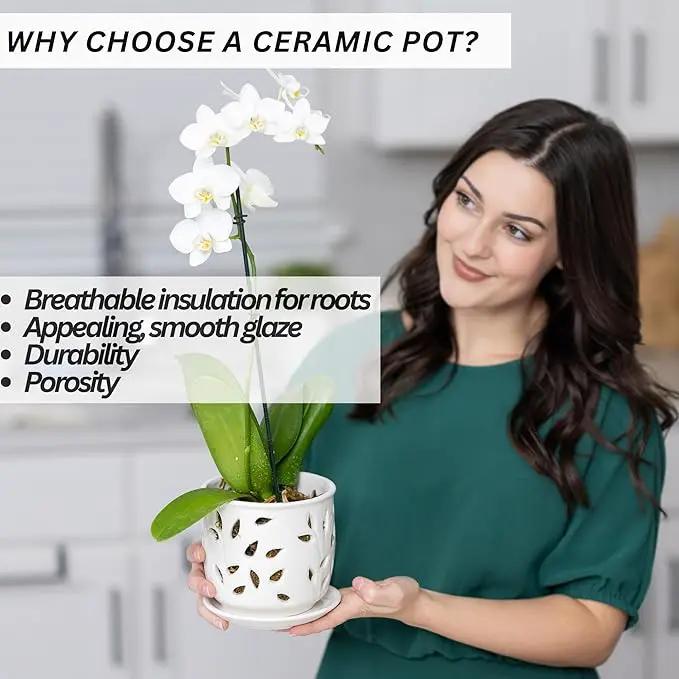 Orchid Pot with Holes & Saucer Ceramic 5.25 in. Indoor or Outdoor Large Pot for Orchid Care & Root Health with Precise Aeration & Drainage – Durable for Repotting or New Plants by GreenHaven Gardens