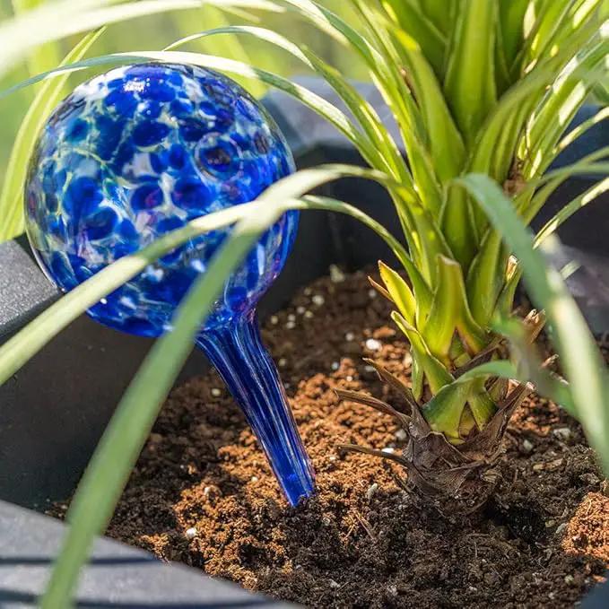 Evelots Plant Watering Globes (6 Pack) - Hand Blown Glass - Automatic Water Irrigation System - Indoor/Outdoor - Leave Your Home Worry Free by GreenHaven Gardens
