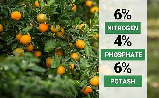 6-4-6 Avocado and Citrus Tree Professional Fertilizer Plant Food for Outdoor/Indoor Gardening; Quick-Release Nitrogen Fertilizer; Orange, Lime, Avocado and Lemon Tree Fertilizer (4 QUARTS) by GreenHaven Gardens