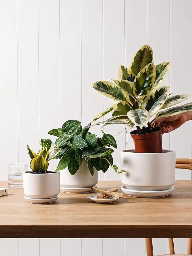 LE TAUCI Plant Pots Indoor, 4.3+5.3+6.8 Inch, Set of 3, Ceramic Planters with Drainage Hole and Saucer, Modern Indoor Flower Pot with Hole Mesh Pad, Gifts for Mom, Classic White by GreenHaven Gardens