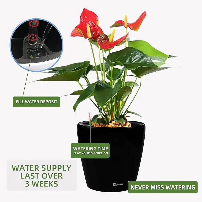 Dexceder 13x12 Self Watering Planter with Wheels Indoor Outdoor, Inner Pot Design, Thickened Large Floor Standing Flower Plant Pot with Water Level Indicator (Black Matte) by GreenHaven Gardens