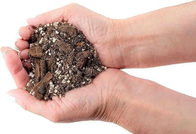 Gardenera's Premium Peace Lily Potting Mix : Hand-Crafted for Optimal Growth and Health - [3-Quart Bag] by GreenHaven Gardens