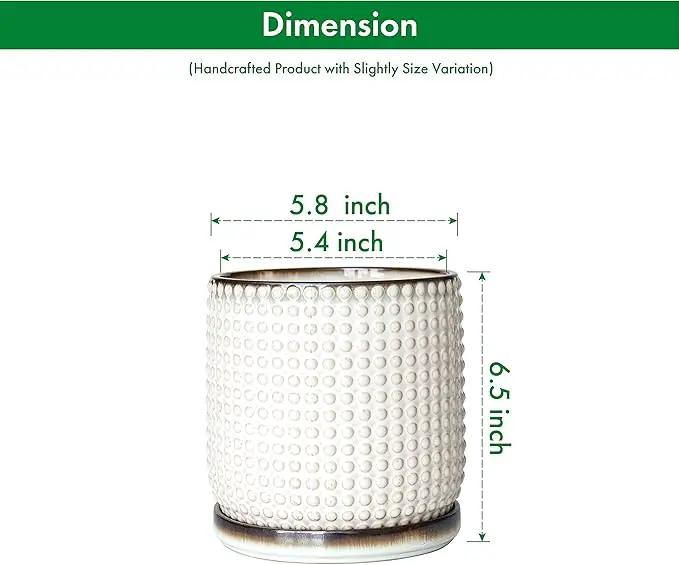 D'vine Dev 6 Inch Ceramic Beaded Stoneware Planter Pot - Flower Pot with Drainage Holes and Saucers for Indoor Succulent Plants or Flowers, Smoked White, 27-C-X-1 by GreenHaven Gardens