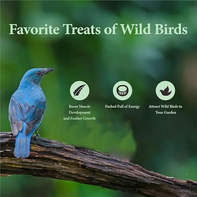 11 LBS Dried Mealworms, Non GMO, High Protein Treat for Chicken, Duck, Birds, Reptile, Hamster,Hedgehog by GreenHaven Gardens