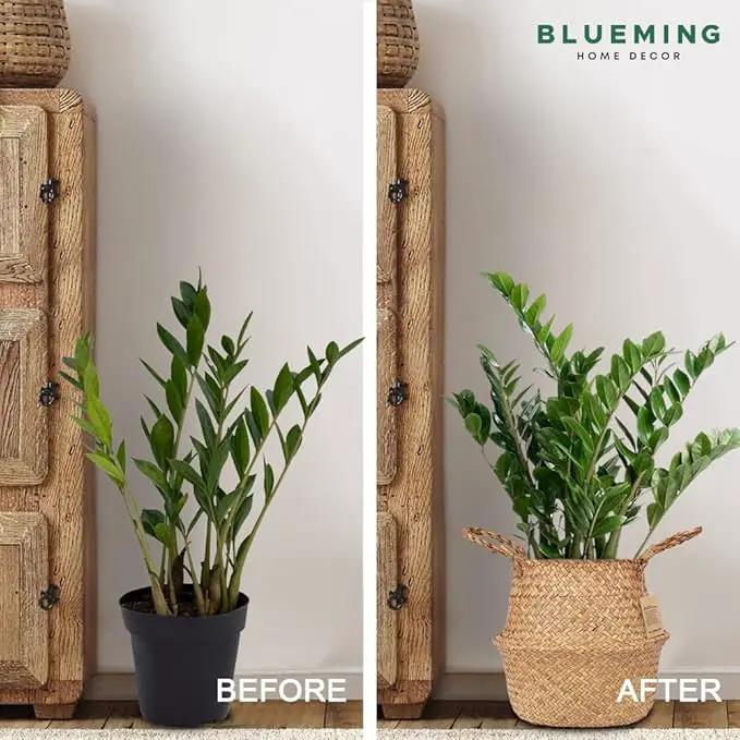 Tree Basket – Wicker Seagrass Planter for Tall Indoor Fake Olive House Plants, Decorative Rattan Baskets for 7-8 Inch Small Plant Pots (Original, Medium) by GreenHaven Gardens