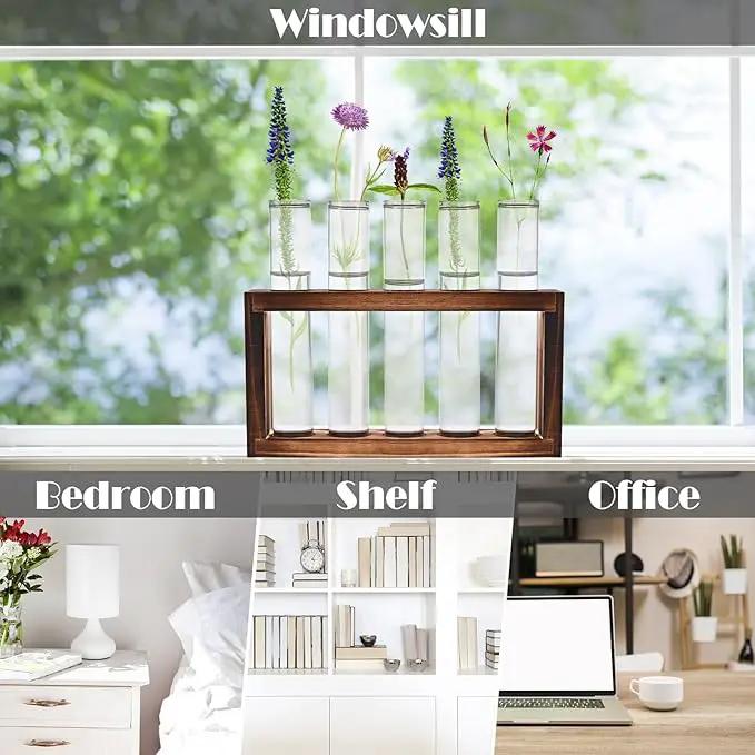 Desktop Glass Plant Propagation Station with 5 Test Tubes in Wooden Stand - Hydroponic Plants Cutting Office Home Decoration and Garden Decor Terrarium (5 Tubes) by GreenHaven Gardens