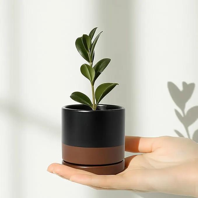 D'vine Dev 3.5 Inch & 4.7 Inch Ceramic Planter Pots for Plants with Drainage Hole and Saucer, X-Small Plant Pots Set, Black/Speckled Tan, 94-G-XS-7 by GreenHaven Gardens