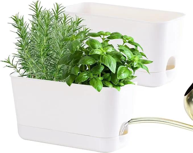 Herb Garden Planter Indoor Kit Self Watering Pots for Indoor/Outdoor Plants 2 Packs Windowsill Plant Pots with Drainage and Tray, Window Pot for Indoor Plants by GreenHaven Gardens