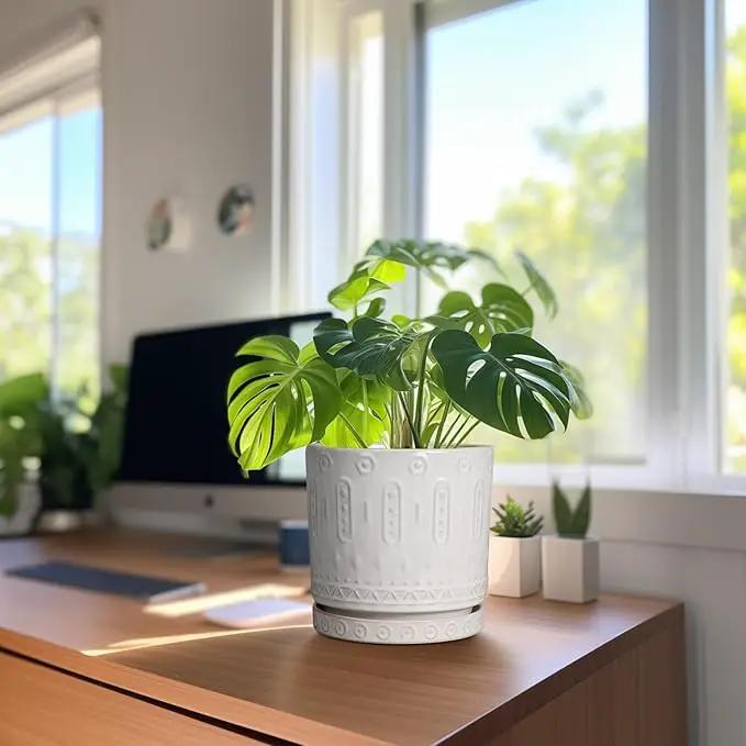 Ceramic Planter for Indoor Plants - 8 Inch Plant Pot Outdoor Flower Pot with Drainage Holes and Saucer Modern Round Planter Succulent Pot for Home Garden Decor White by GreenHaven Gardens