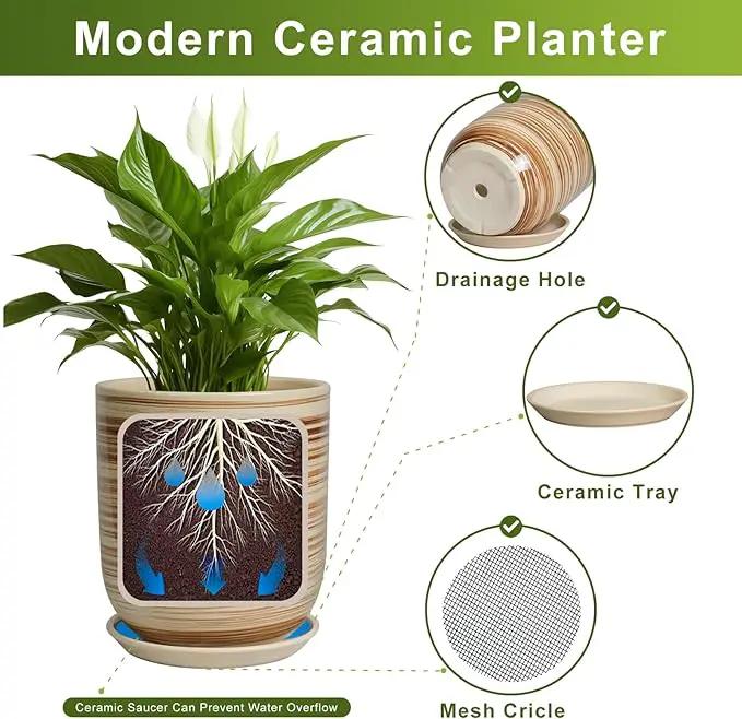 8 Inch Plant Pot, Ceramic Planter for Outdoor Plants, Large Plant Pot Indoor with Drainage Hole and Saucer, Modern Flower Pot for Home Garden Decor Yellow by GreenHaven Gardens
