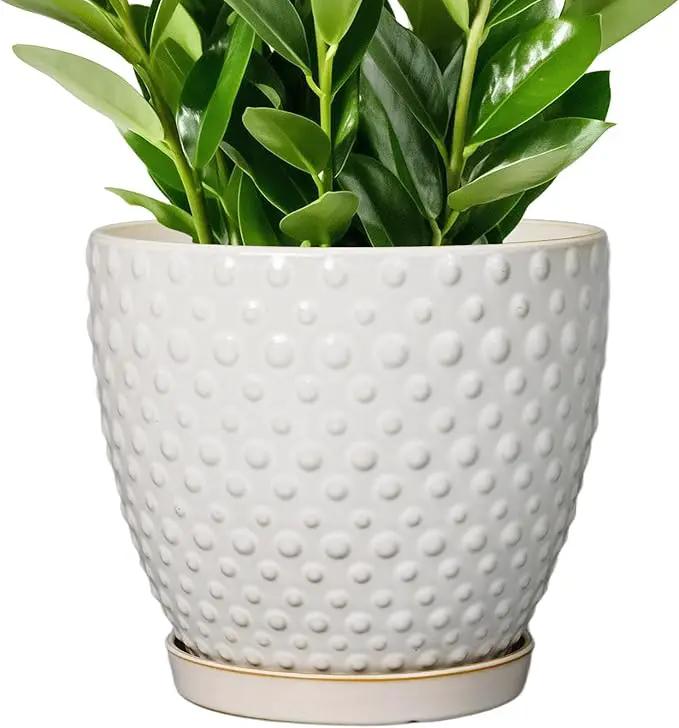 G EPGardening 10 Inch Plant Pot Ceramic Pots for Plants Indoor Outdoor Plant Pots with Drainage Hole and Saucer Round Large Flower Pot for Home Garden Office White by GreenHaven Gardens
