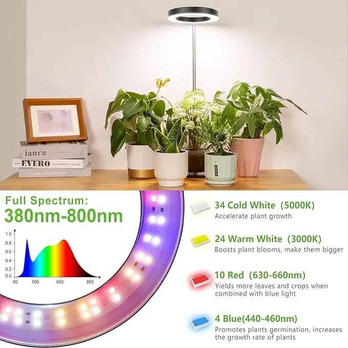 LORDEM Grow Light, LED Plant Light for Indoor Plants Growing, Full Spectrum Desk Growth Lamp with Automatic Timer for 4H/8H/12H, 4 Dimmable Levels, Height Adjustable 9.8"-30.6", 2 Packs of Black by GreenHaven Gardens