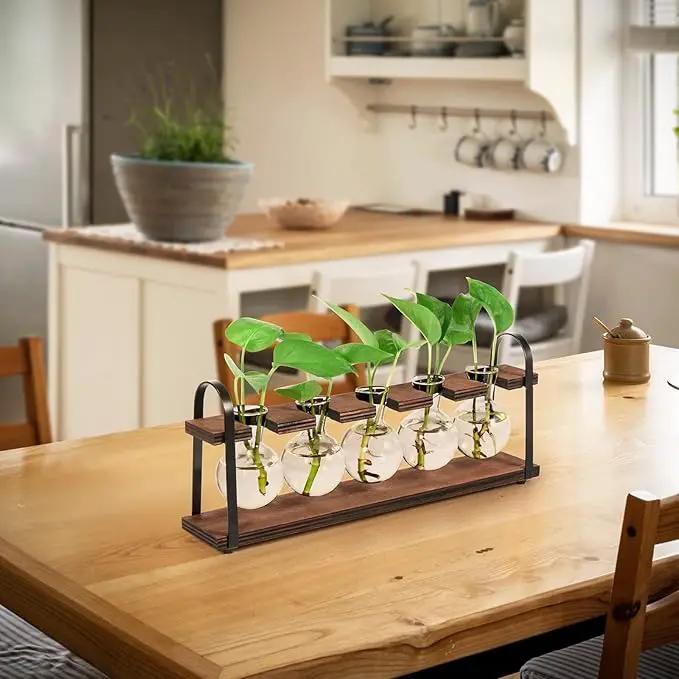 THYGIFTREE Plant Propagation Stations with Wooden Stand, Desktop Retro Plant Terrarium Bulb Vase for Indoor Hydroponic Flowers, Tabletop Glass Planter Housewarming Gifts for Plant Lovers by GreenHaven Gardens