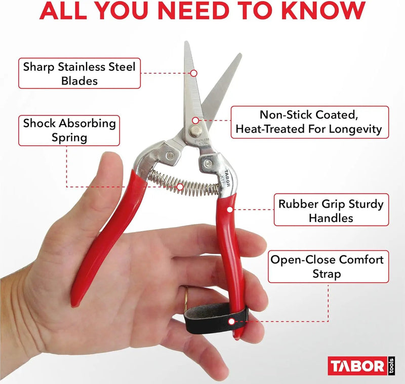 TABOR TOOLS Pruning Shears, Florist Scissors, Multi-Tasking Garden Snips for Arranging Flowers, Trimming Plants and Harvesting Herbs, Fruits or Vegetables. K17A. (Straight, Stainless Steel Blades) by GreenHaven Gardens