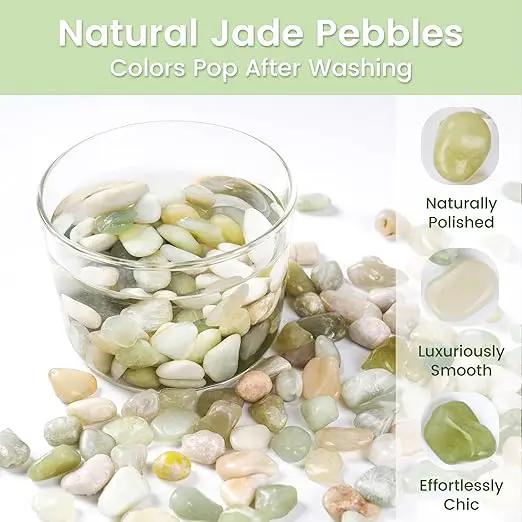 SIDONG 10 LB Jade Pebbles, 2/5 Inch Natural Decorative Polished Jade Stones, Jade River Rocks for Succulents, Cactus, Vases, Indoor Plants, Garden Landscaping, Bamboo by GreenHaven Gardens