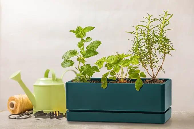 D'vine Dev 12 Inch Window Box Planter, Rectangle Plastic Herb Planter with Drainage Holes and Saucer, Indoor Succulent Cactus Vegetable Pot for Windowsill, Garden Balcony, Green, Set of 2, 76-X-C-2 by GreenHaven Gardens