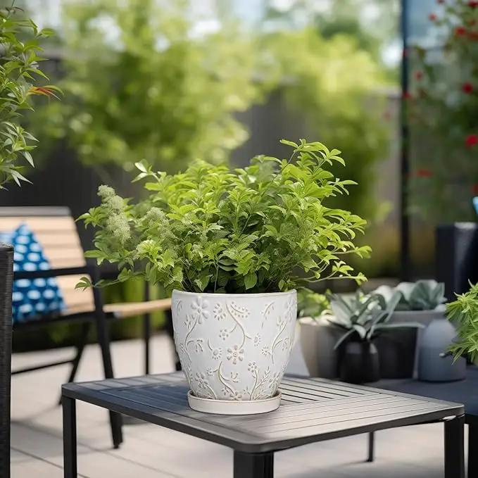 6 Inch Ceramic Plant Pot for Indoor Plants Outdoor Round Planter Flower Pot with Drainage Hole and Saucer for Home Garden Office Decor White by GreenHaven Gardens