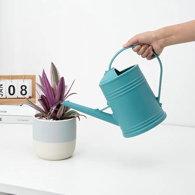Watering Can for Indoor Plants, Flower Watering Can, Plastic Water Can for Plants, Indoor Watering Can with Sprinkler Head 68 oz, 1/2 Gallons by GreenHaven Gardens