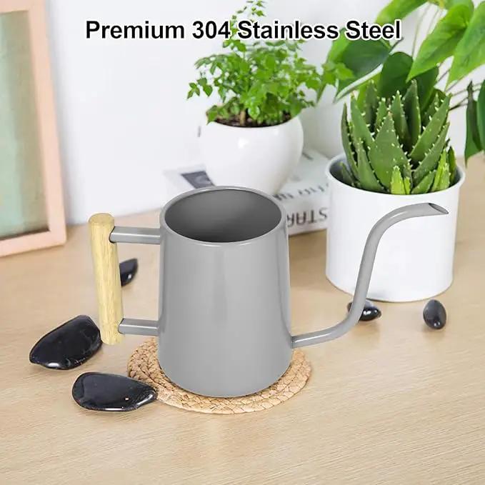 Watering Can Indoor Plants, 35 oz/1000 ml Metal Stainless Steel Watering Can Pot with Long Spout for Indoor House Plants Bonsai Outdoor Garden Flower Decorative (Gray) by GreenHaven Gardens
