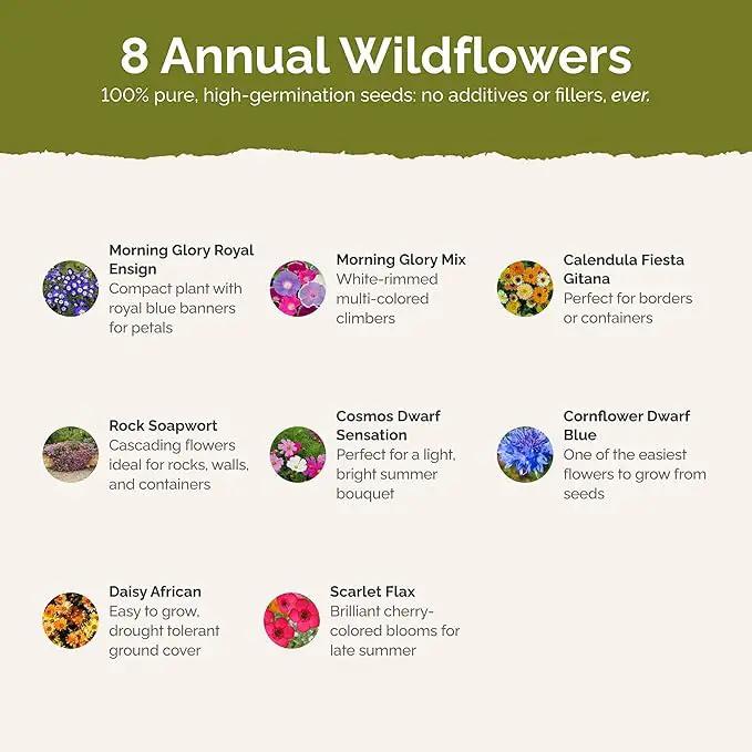 Eden Brothers Royal Meadow Flower Mixed Seeds for Planting, 5 lb, 2,400,000+ Seeds with Morning Glory, African Daisy | Attracts Pollinators, Plant in Spring or Fall, Zones 3, 4, 5, 6, 7, 8, 9, 10 by GreenHaven Gardens
