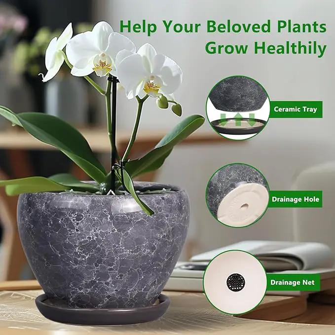 Ceramic Planter - 6 Inch Plant Pot with Drainage Hole and Saucer, Succulent Pot Glaze Round Flower Pot for Indoor Outdoor Plants, Gray by GreenHaven Gardens