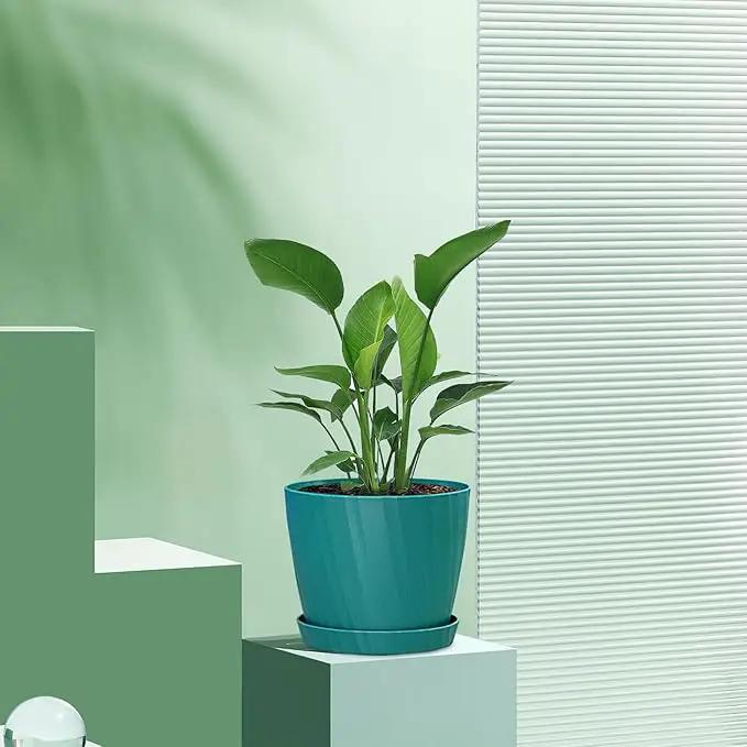 6 Inch Plant Pots Bulk, 6 Pack Plastic Planters with Drainage Holes and Saucers for Indoor Outdoor House Plants and Flowers, Green by GreenHaven Gardens
