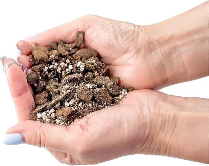 Professional Succulent Soil Premium All Purpose Blend | Pre-Mixed Ready to Use for Cactus and Succulents | Sphagnum Peat Moss, Perlite, New Zealand Pine Bark - Made in USA - 4 Quart by GreenHaven Gardens