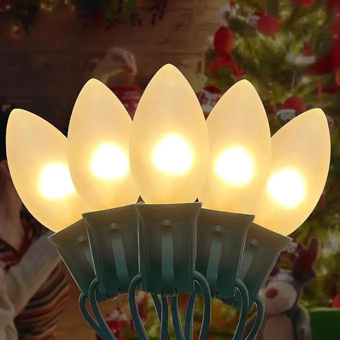 25 FT C9 Frosted Christmas Lights,Warm White Outdoor Christmas Lights with 26 Bulbs(1 Spare), C9/ E17 Base,Old Fashioned Christmas Lights for Roofline, Yard, Garden, Wedding Decorations by GreenHaven Gardens