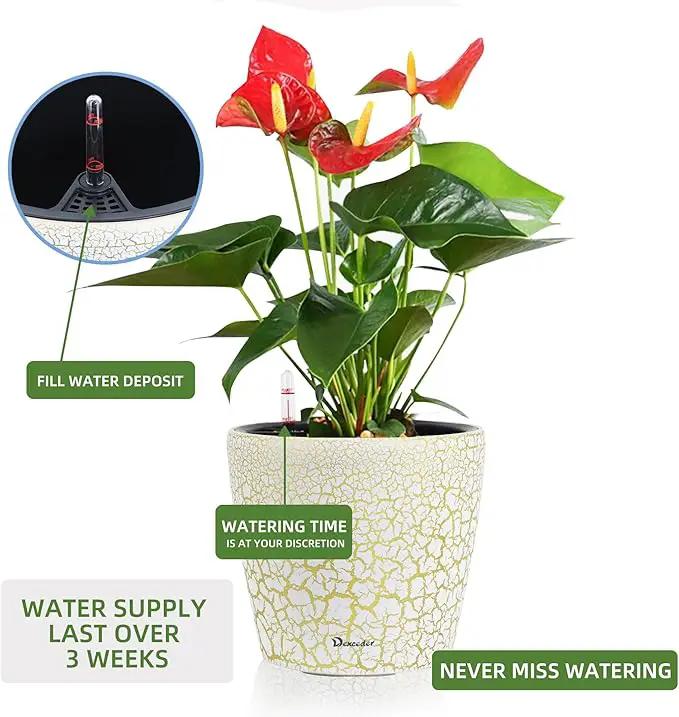Dexceder 9x8 Inches Self Watering Planter Indoor Outdoor, Inner Pot Design, Thickened Table Flower Plant Pot with Water Level Indicator (White Gold Crackle) by GreenHaven Gardens