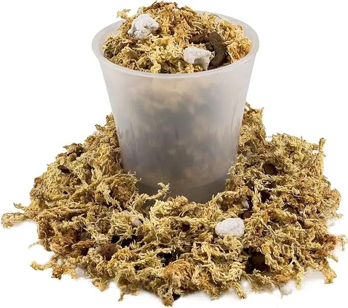 Premium Phalaenopsis Imperial Orchid Potting Mix - Hand Mixed in Small Batches | Great for Phalaenopsis of All Kinds - by GARDENERA - 4 Quart Bag by GreenHaven Gardens