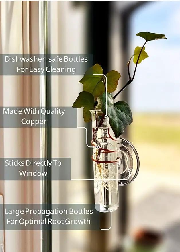 The Little Window Propagator- Window Plant Propagation Station with Removable Glass Test Tubes, Indoor Clippings, Cut Flowers, Herbs, Succulents | Home Decor | Plant Lover Gift by GreenHaven Gardens
