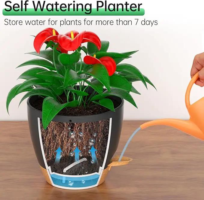 ZMTECH 8 Inch Hanging Planters for Indoor Outdoor Plants, 2 Pack Self Watering Hanging Plant Pots with Drainage Holes and Removable Saucer, Plastic Flower Hanging Pots with Watering Lip (Black) by GreenHaven Gardens