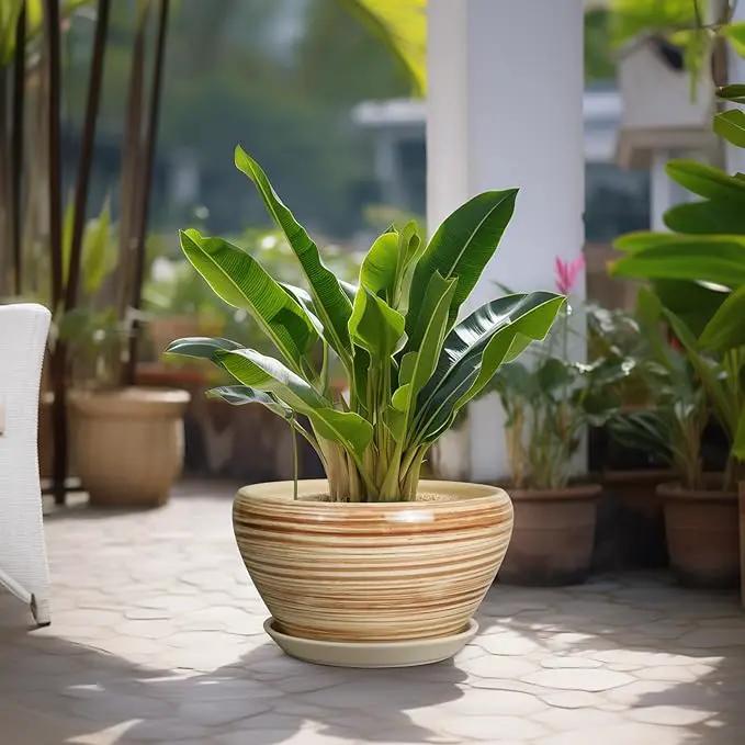 Ceramic Pot for Plants - 13 Inch Planter for Outdoor Plants Indoor Plant Pot with Drainage Hole and Saucer Large Planter Round Flower Pot for House Patio Garden Decor Yellow by GreenHaven Gardens