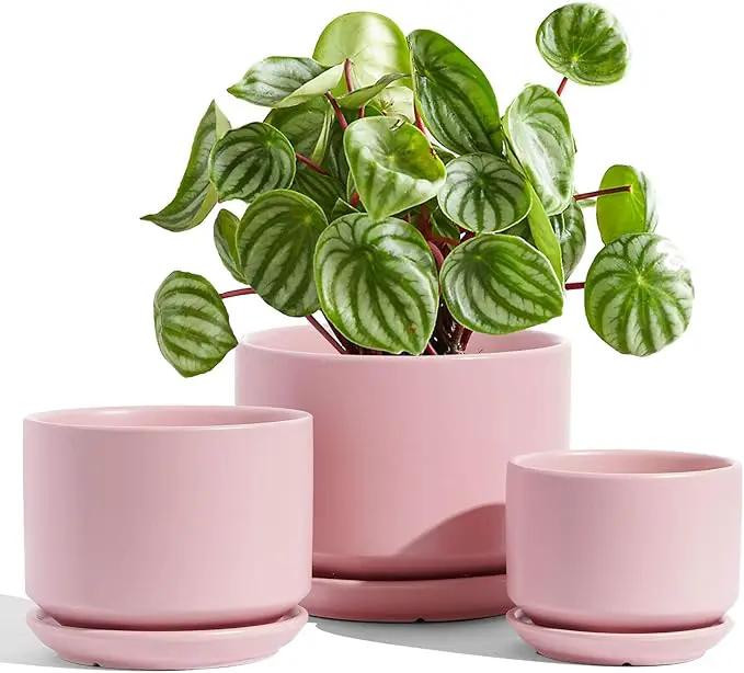 LE TAUCI Ceramic Plant Pots, 4.3+5.3+6.8 inch, Set of 3, Planters with Drainage Hole and Saucer, Indoor Flower Pot with Hole Mesh Pad, Gifts for Mom, Pink by GreenHaven Gardens