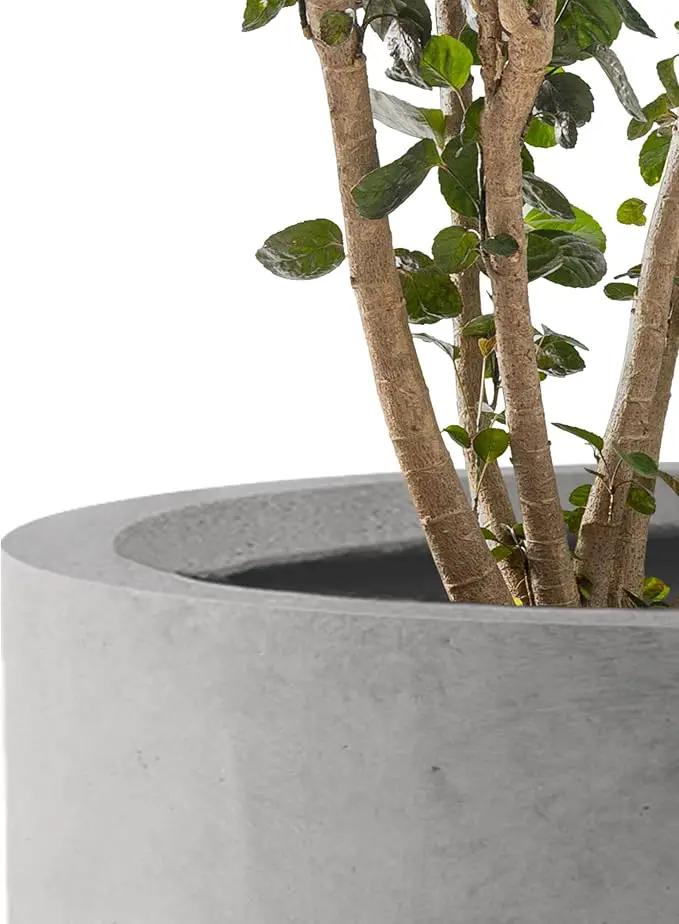 Kante 12.6" Dia Round Concrete Planter, Modern Style Large Cylindrical Plant Pot with Drainage Hole and Rubber Plug for Indoor Outdoor Patio, Natural Concrete by GreenHaven Gardens