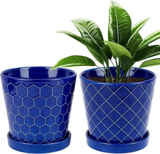 BUYMAX Plant Pots Indoor –6 inch Ceramic Flower Pot with Drainage Hole and Ceramic Tray - Gardening Home Desktop Office Windowsill Decoration Gift, Set of 2(Royal Blue) by GreenHaven Gardens