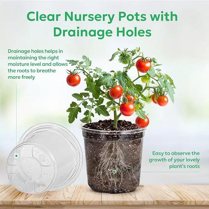 30 Packs 5 Inch Reinforced Clear Nursery Pots with Drainage Hole, Transparent Variety Pack Plastic Plant Pot Seedling Planter Seed Starter Flower by GreenHaven Gardens