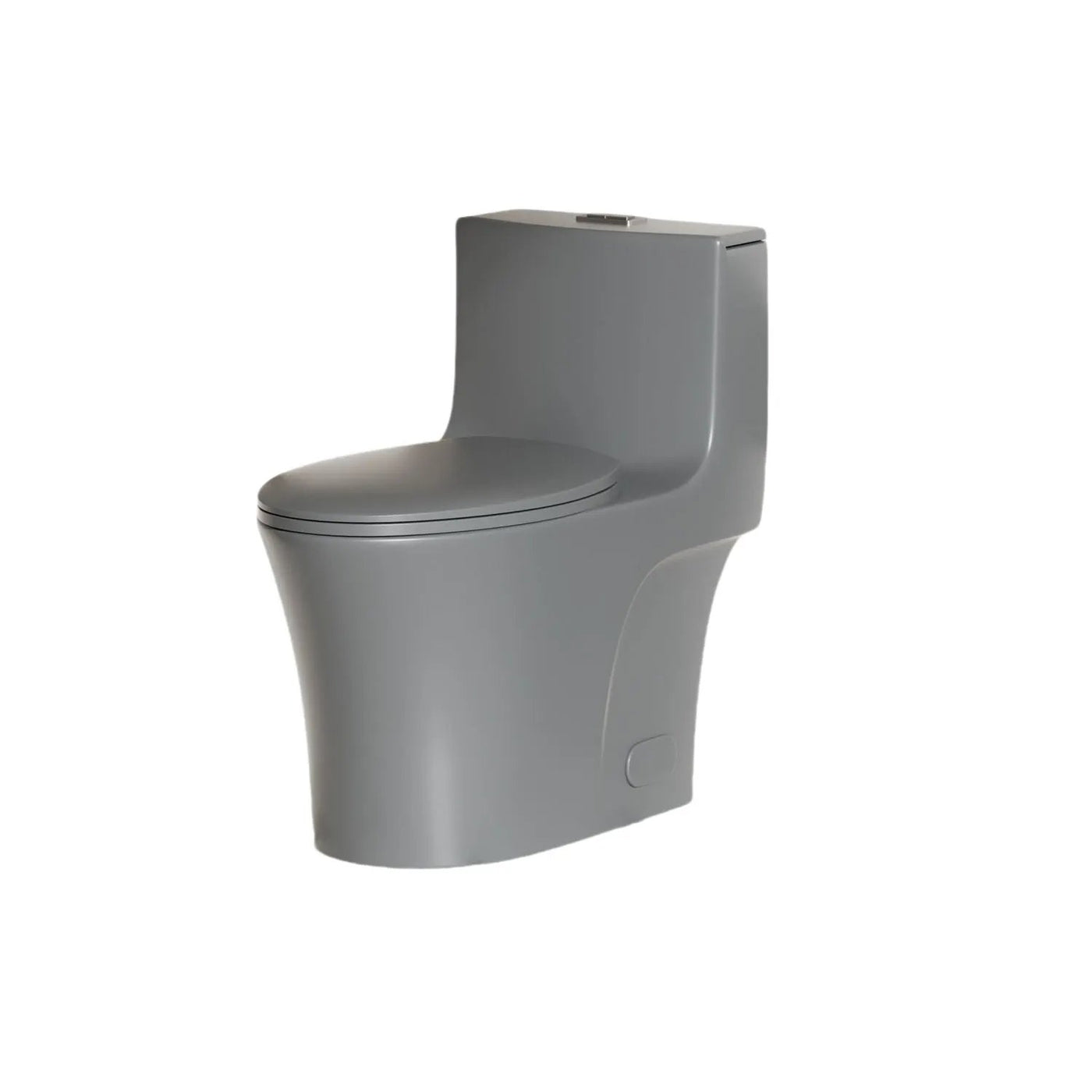 1 Piece Toilet With Dual Flush And Soft Closing Seat by HouseOfZazla