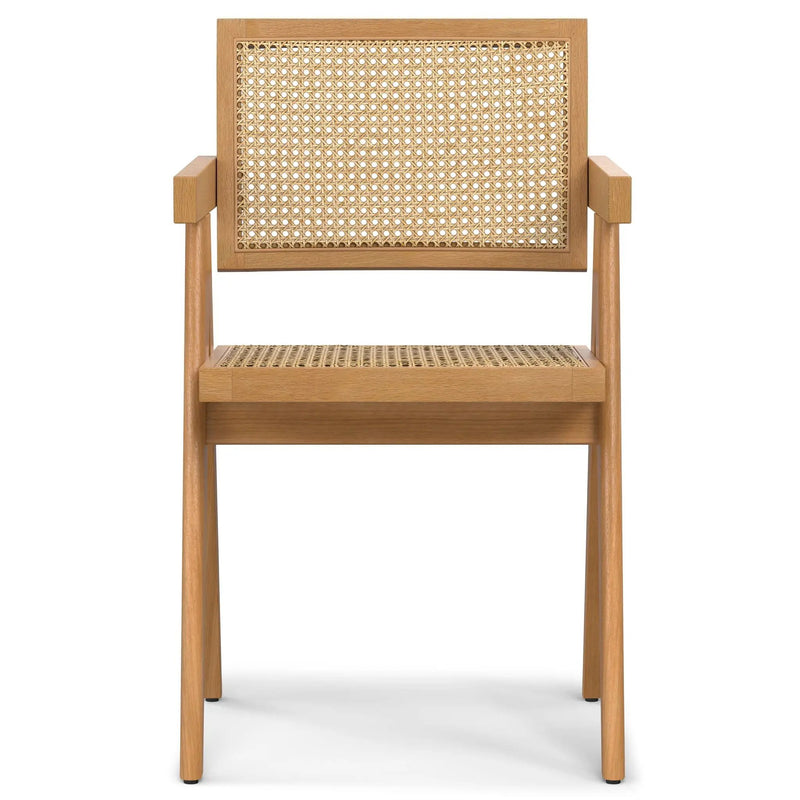 Regina - Handcrafted Dining Armchair (Set of 2) by HouseOfZazla