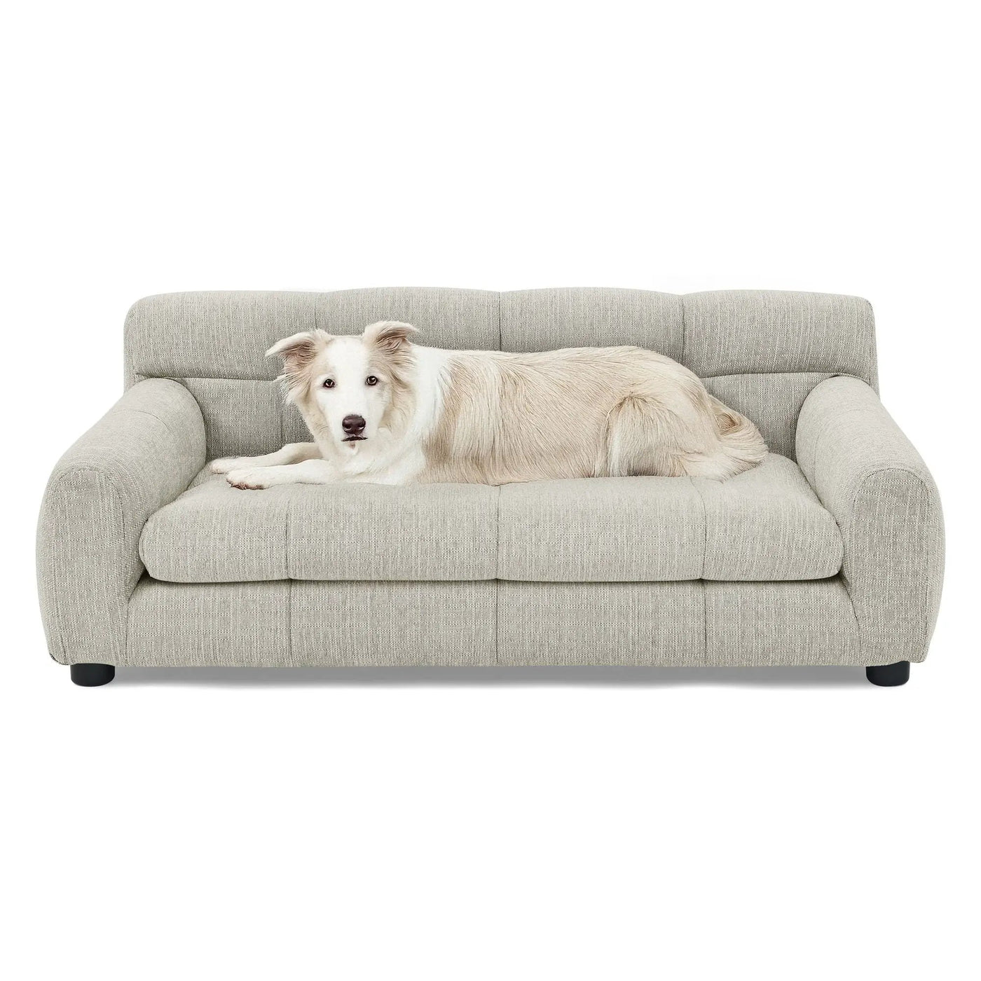 Modern Pet Sofa With Backrest And Armrests by HouseOfZazla