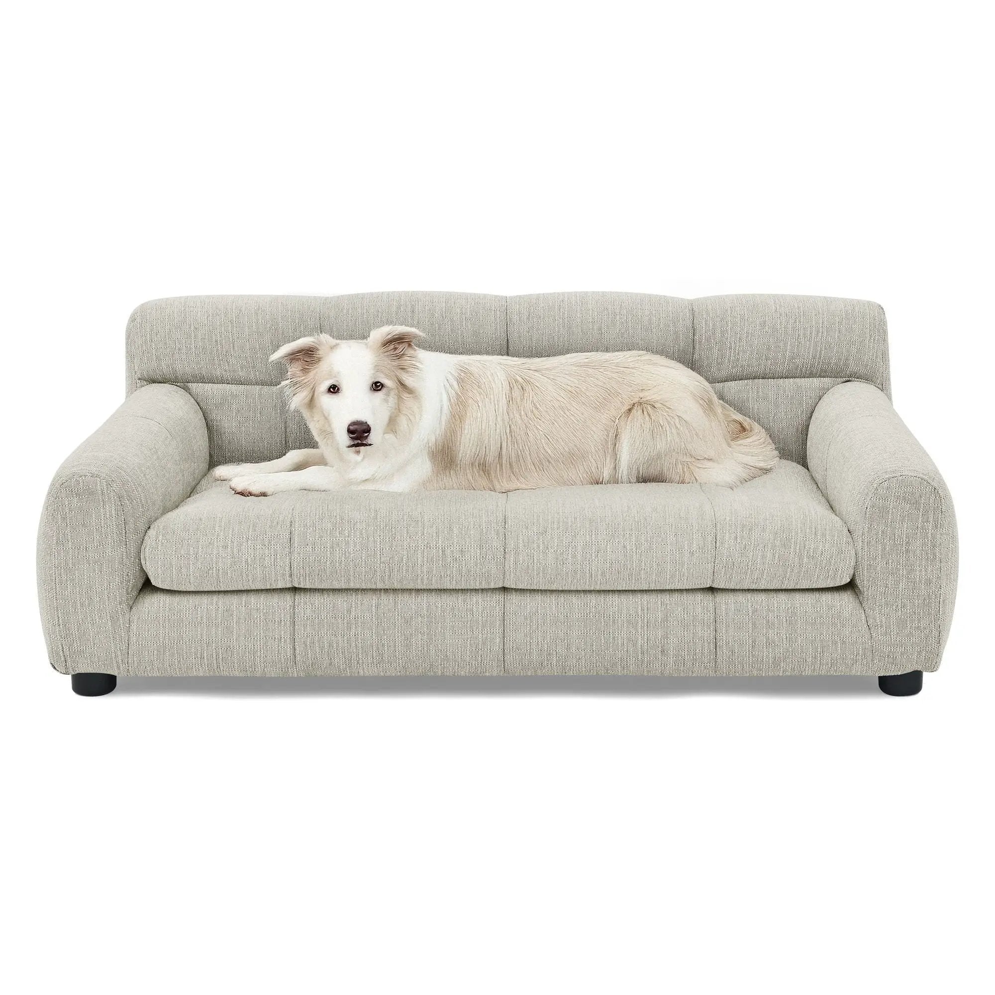 Modern Pet Sofa With Backrest And Armrests by HouseOfZazla