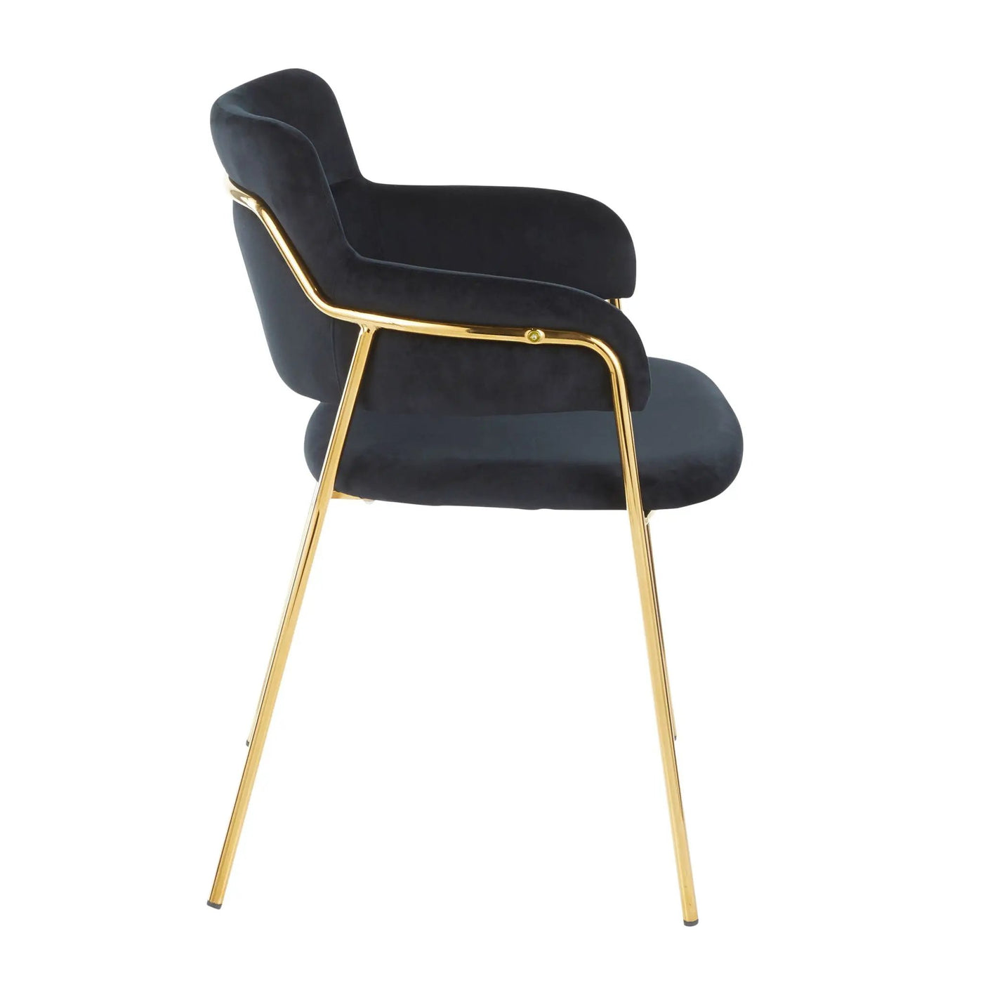 Napoli - Contemporary Chair (Set of 2) by HouseOfZazla