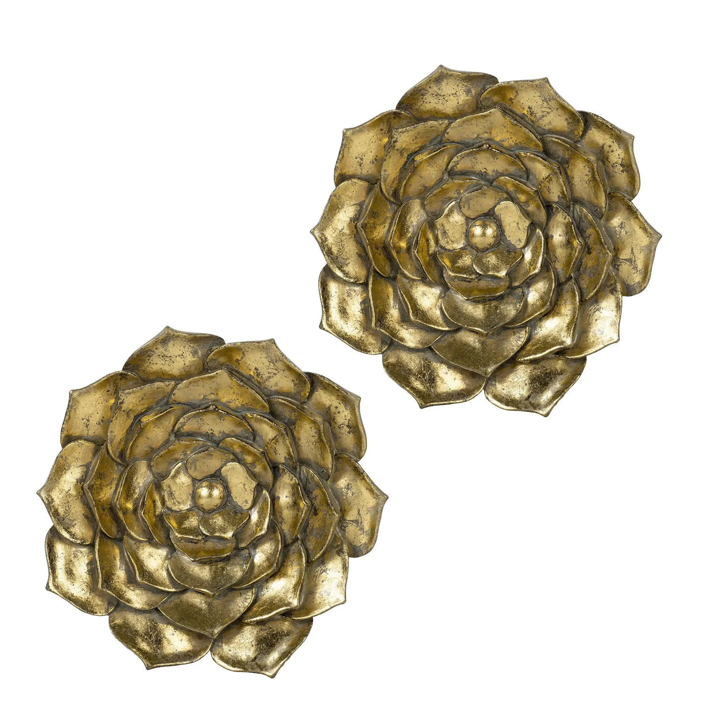 Succulent Wall Plaque Resin by HouseOfZazla
