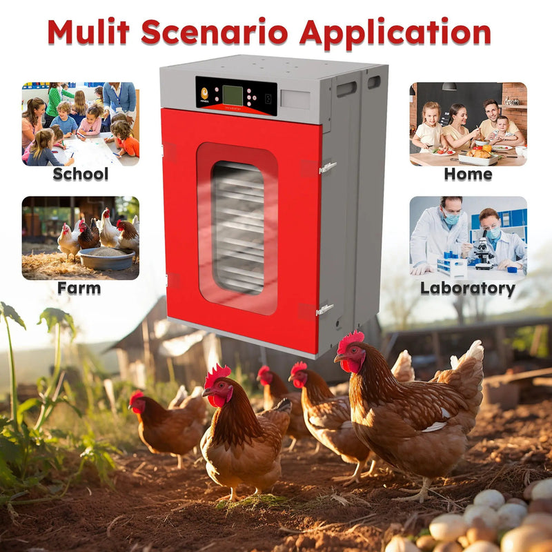 Commercial Egg Digital Cabinet Incubator With Auto Temperature & Humidity Control by HouseOfZazla