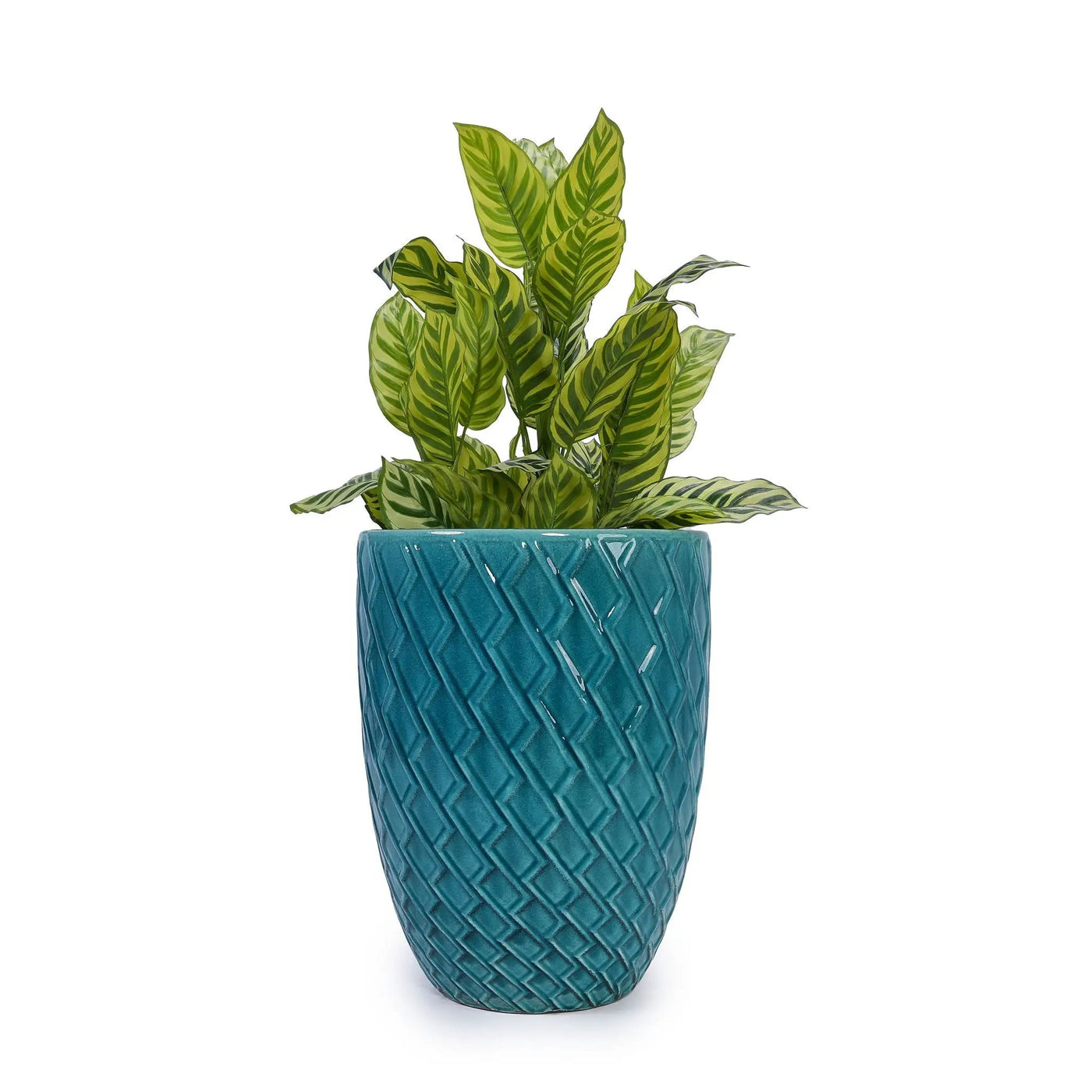 Ceramic Flowerpot, Planter For Patio, Garden, Windowsill by HouseOfZazla