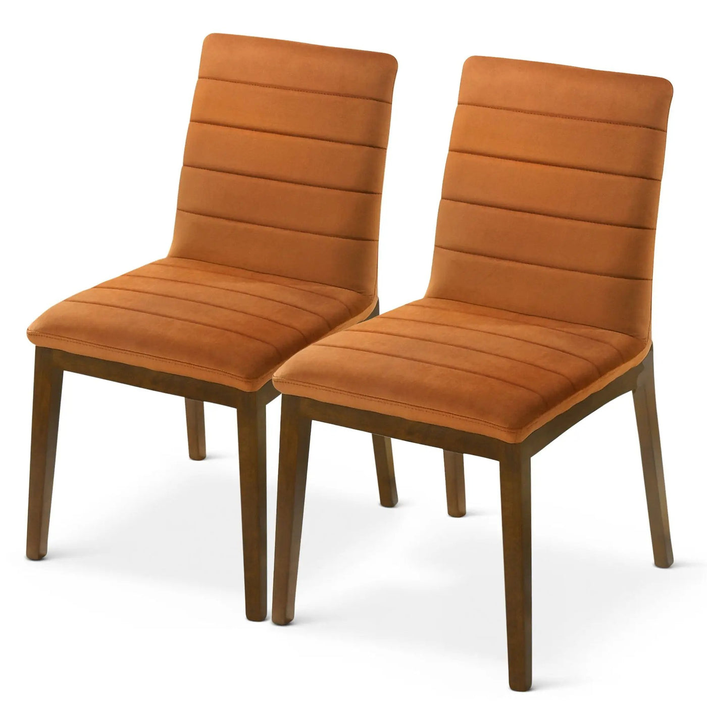 Ines - Modern Dining Chair (Set of 2) by HouseOfZazla