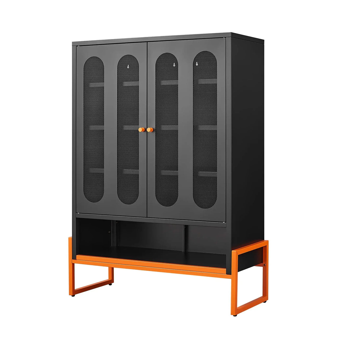 Modern Metal Shoe Cabinet With DoublebSided Doors And Adjustable Partitions by HouseOfZazla