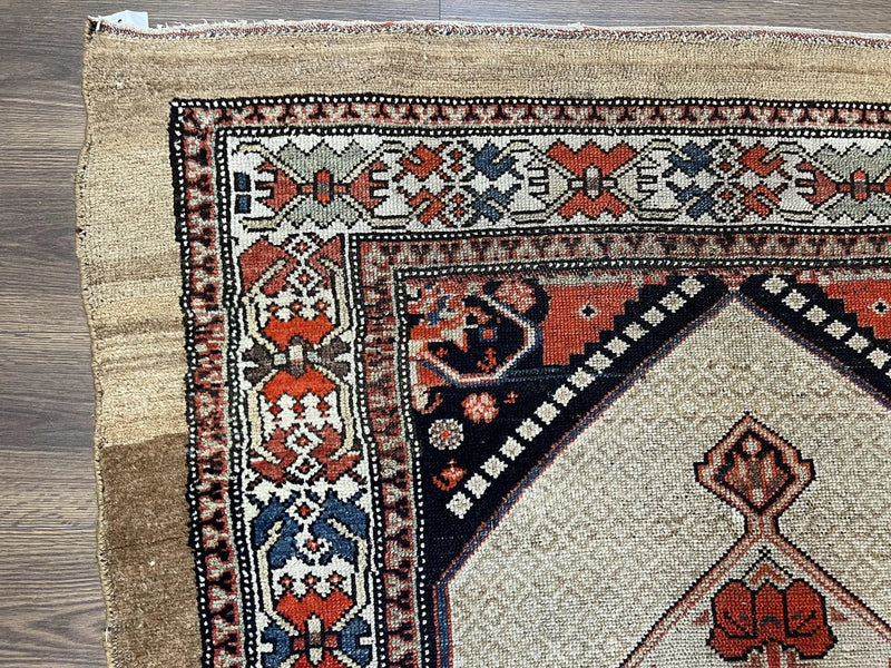Rare Persian Sarab Tribal Runner Rug 4 x 10, Antique, Geometric Medallions, Camel Hair Runner by Jewel Rugs