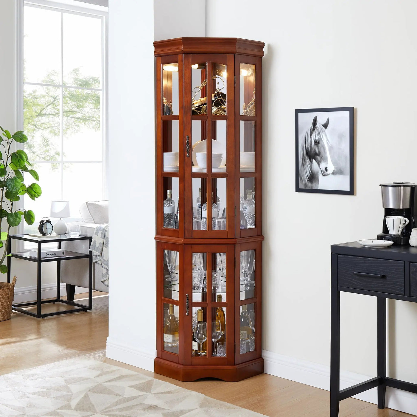 Corner Curio Cabinet With 5 Shelves And Lighting System by HouseOfZazla